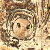 Crazy Looking Early 20th Century Lower Jaw Dental Model