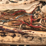 Crazy Looking Early 20th Century Lower Jaw Dental Model