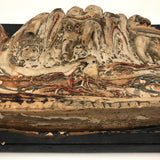 Crazy Looking Early 20th Century Lower Jaw Dental Model