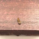 Miniature Escritoire Style Desk or Chest
