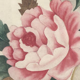 Three Peony Lovely Antique American Theorem Watercolor, Framed