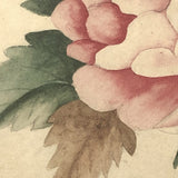 Three Peony Lovely Antique American Theorem Watercolor, Framed