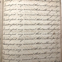 Cornelius Pierson 1842 British Calligraphy Practice Notebook with Hand-marbled Cover