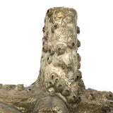 Jesus on Cross Encrusted in Barnacles!