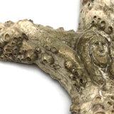 Jesus on Cross Encrusted in Barnacles!
