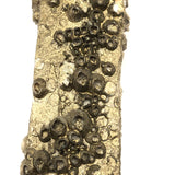 Jesus on Cross Encrusted in Barnacles!