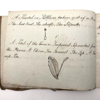 British 1823 School Botany Notebook with Drawings Throughout