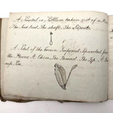 British 1823 School Botany Notebook with Drawings Throughout