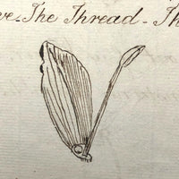 British 1823 School Botany Notebook with Drawings Throughout