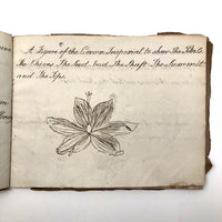 British 1823 School Botany Notebook with Drawings Throughout