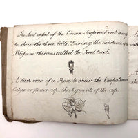 British 1823 School Botany Notebook with Drawings Throughout