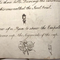 British 1823 School Botany Notebook with Drawings Throughout