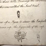 British 1823 School Botany Notebook with Drawings Throughout