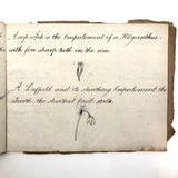 British 1823 School Botany Notebook with Drawings Throughout