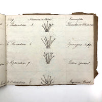 British 1823 School Botany Notebook with Drawings Throughout