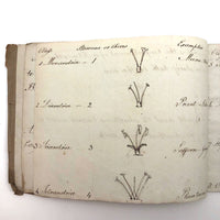 British 1823 School Botany Notebook with Drawings Throughout
