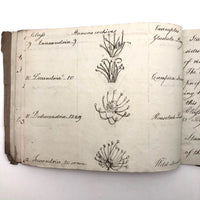 British 1823 School Botany Notebook with Drawings Throughout
