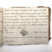 British 1823 School Botany Notebook with Drawings Throughout