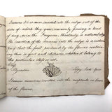 British 1823 School Botany Notebook with Drawings Throughout