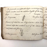 British 1823 School Botany Notebook with Drawings Throughout