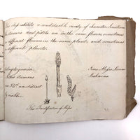 British 1823 School Botany Notebook with Drawings Throughout