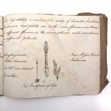 British 1823 School Botany Notebook with Drawings Throughout