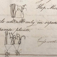 British 1823 School Botany Notebook with Drawings Throughout