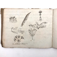 British 1823 School Botany Notebook with Drawings Throughout