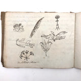 British 1823 School Botany Notebook with Drawings Throughout