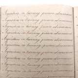 Master Brown's 1820 British Calligraphy Practice Notebook with Spencerian Drawing