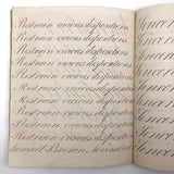 Master Brown's 1820 British Calligraphy Practice Notebook with Spencerian Drawing