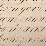 Master Brown's 1820 British Calligraphy Practice Notebook with Spencerian Drawing