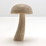 Carved, Signed Antler Mushroom!