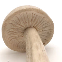 Carved, Signed Antler Mushroom!