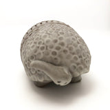Hand Sculpted Ceramic Armadillo