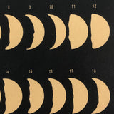 Phases of Venus Antique Color Lithograph from Austrian Journal of Popular Astronomy