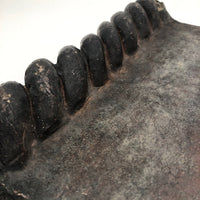Large English Rope-top Terracotta Garden Edger