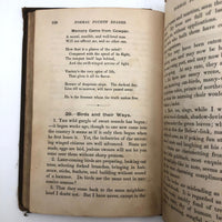Edward J. Brown's 1878 Reader, with Drawings