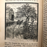 Edward J. Brown's 1878 Reader, with Drawings