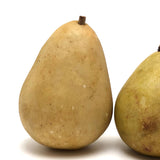 Lovely Old Stone Fruit Pair of Pears (nicely bruised!)