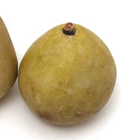 Lovely Old Stone Fruit Pair of Pears (nicely bruised!)