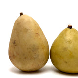 Lovely Old Stone Fruit Pair of Pears (nicely bruised!)