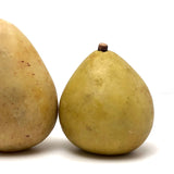 Lovely Old Stone Fruit Pair of Pears (nicely bruised!)