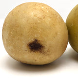 Lovely Old Stone Fruit Pair of Pears (nicely bruised!)