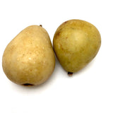 Lovely Old Stone Fruit Pair of Pears (nicely bruised!)