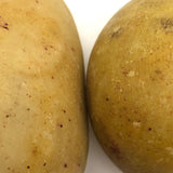 Lovely Old Stone Fruit Pair of Pears (nicely bruised!)