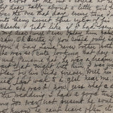 Lena's Juicy Letters to Dear Friend Berthe, 1910-11, with Poems and Photo