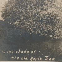In the Shade of the Old Apple Tree, Antique RPPC