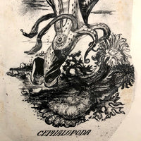 William Charles Palmer 1940 Pen and Ink "Cephalopoda" Drawing