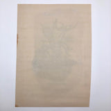 William Charles Palmer 1940 Pen and Ink "Cephalopoda" Drawing